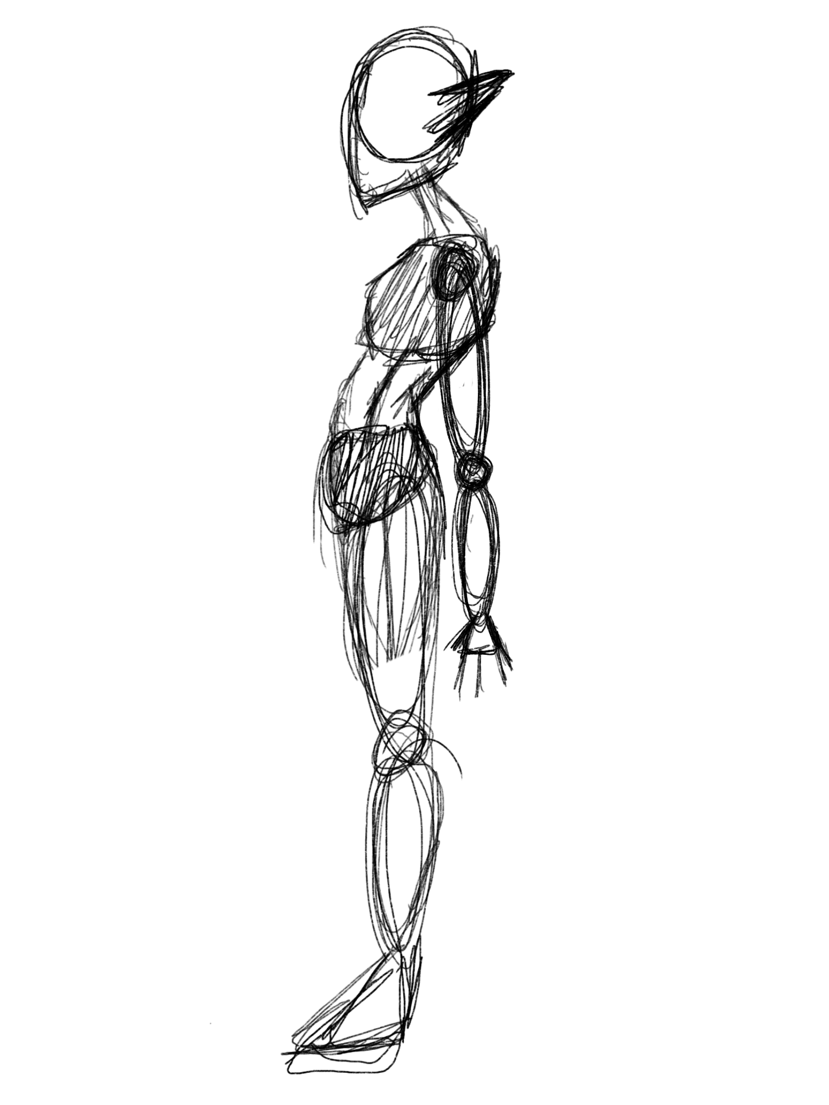 armature template
